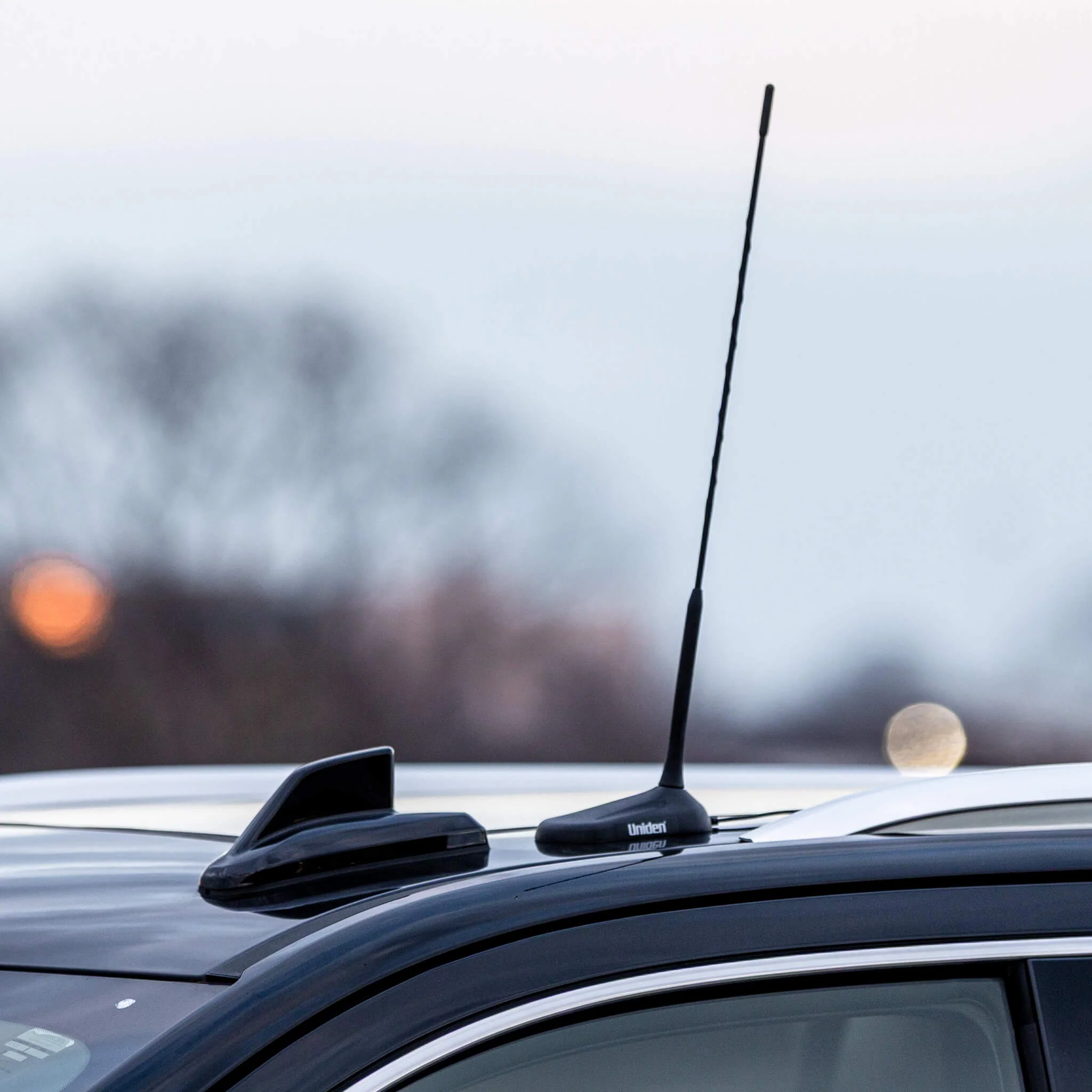 BCATPL259-19 - Image 6